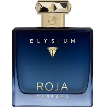 عطر ادکلن مردانه روژا مدل الزیوم 100 میل