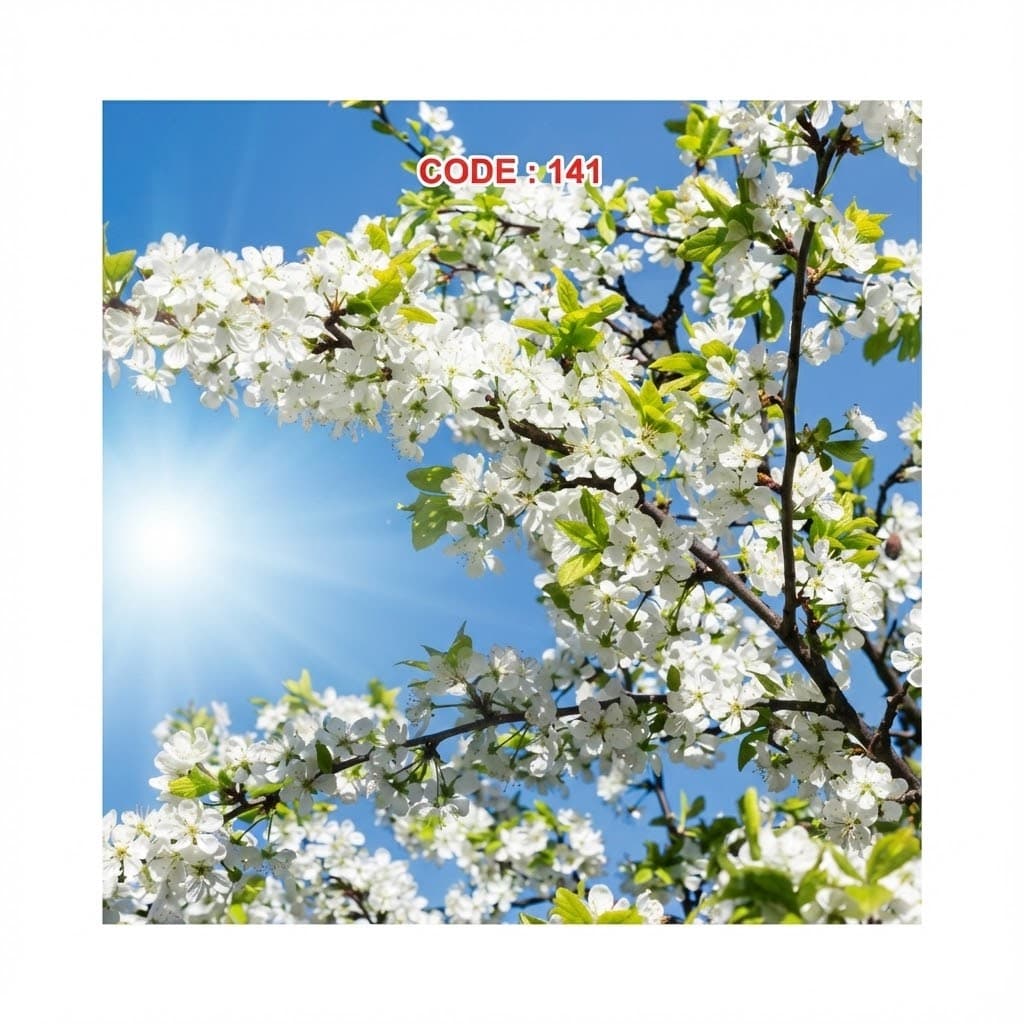 آسمان مجازی کد 141