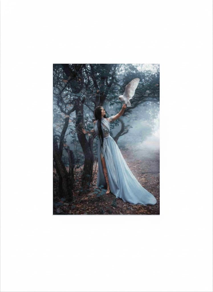 آسمان مجازی کد 816 با طرح فانتزی جنگل مهآلود و پرنده سفید