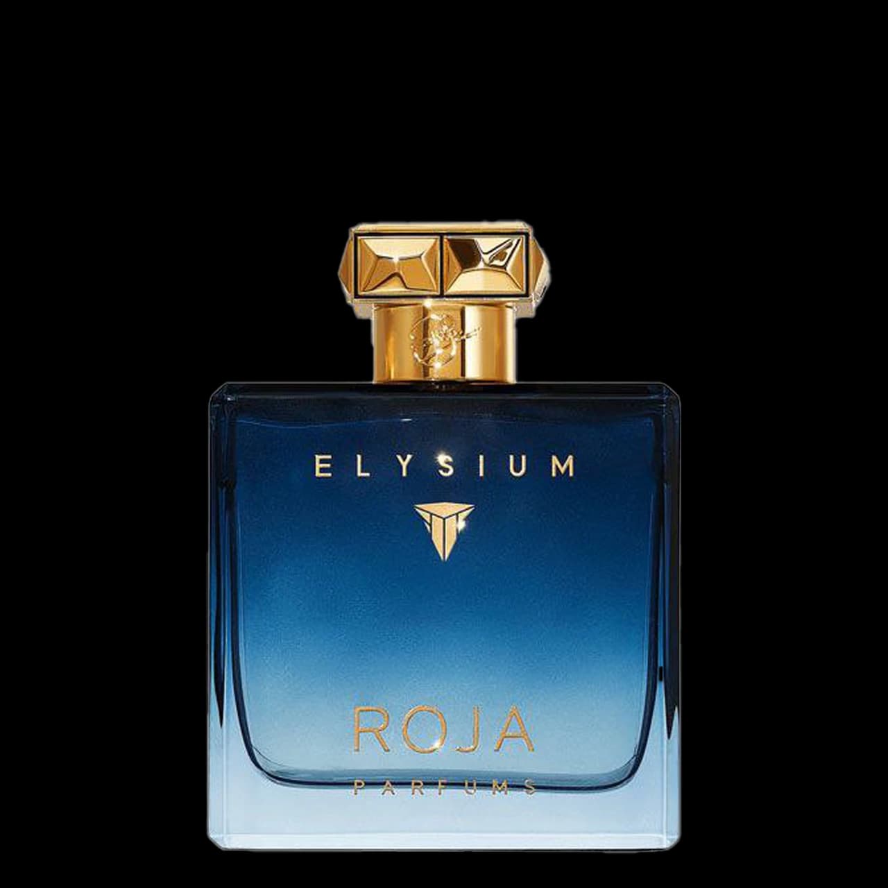 عطر ادکلن مردانه روژا مدل الیزیوم حجم 100 میل
