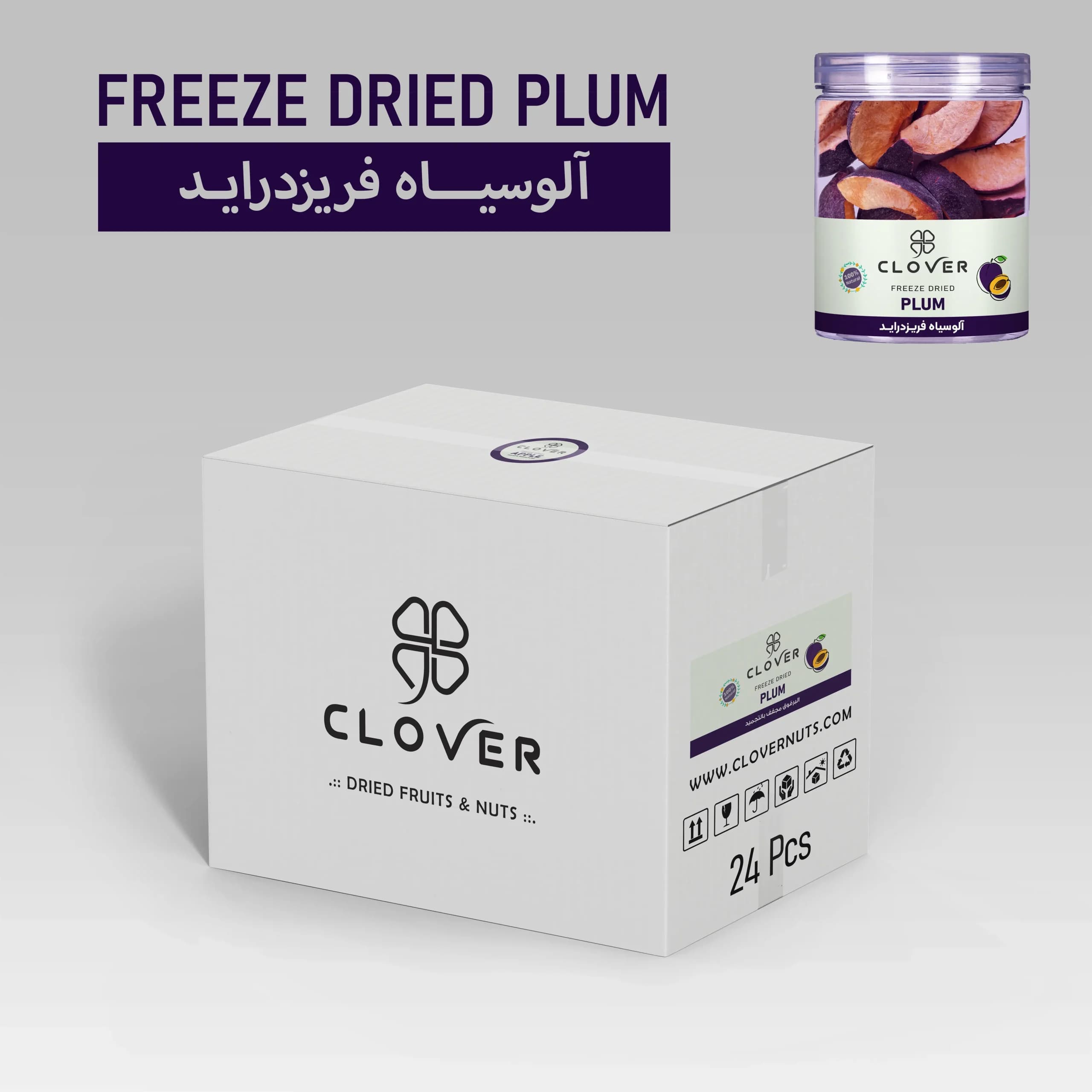 میوه خشک فریزدرای عمده آلو سیاه
