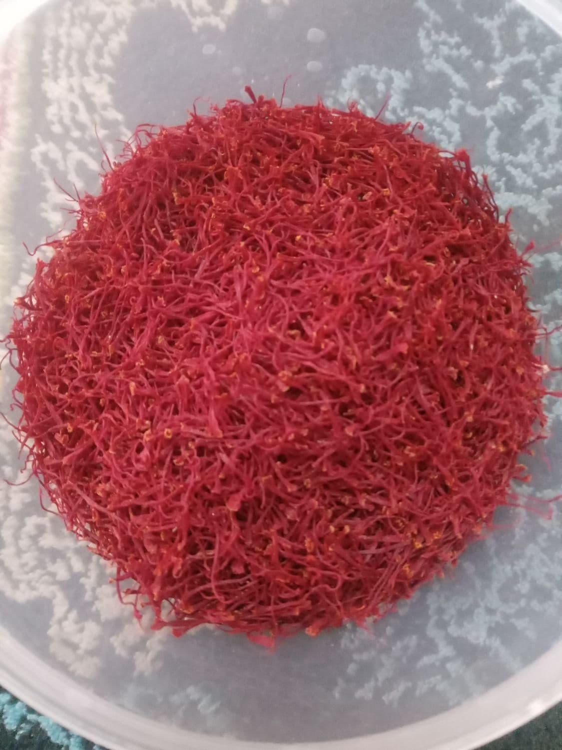 زعفران سرگل طبیعی خشک طرح سعدی — تصویر ۵
