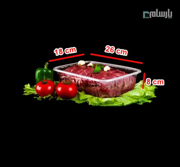 دیس یکبار مصرف جوجه 8 سانت 35 گرم پلی پروپیلن شفاف نوین رویا — تصویر ۲
