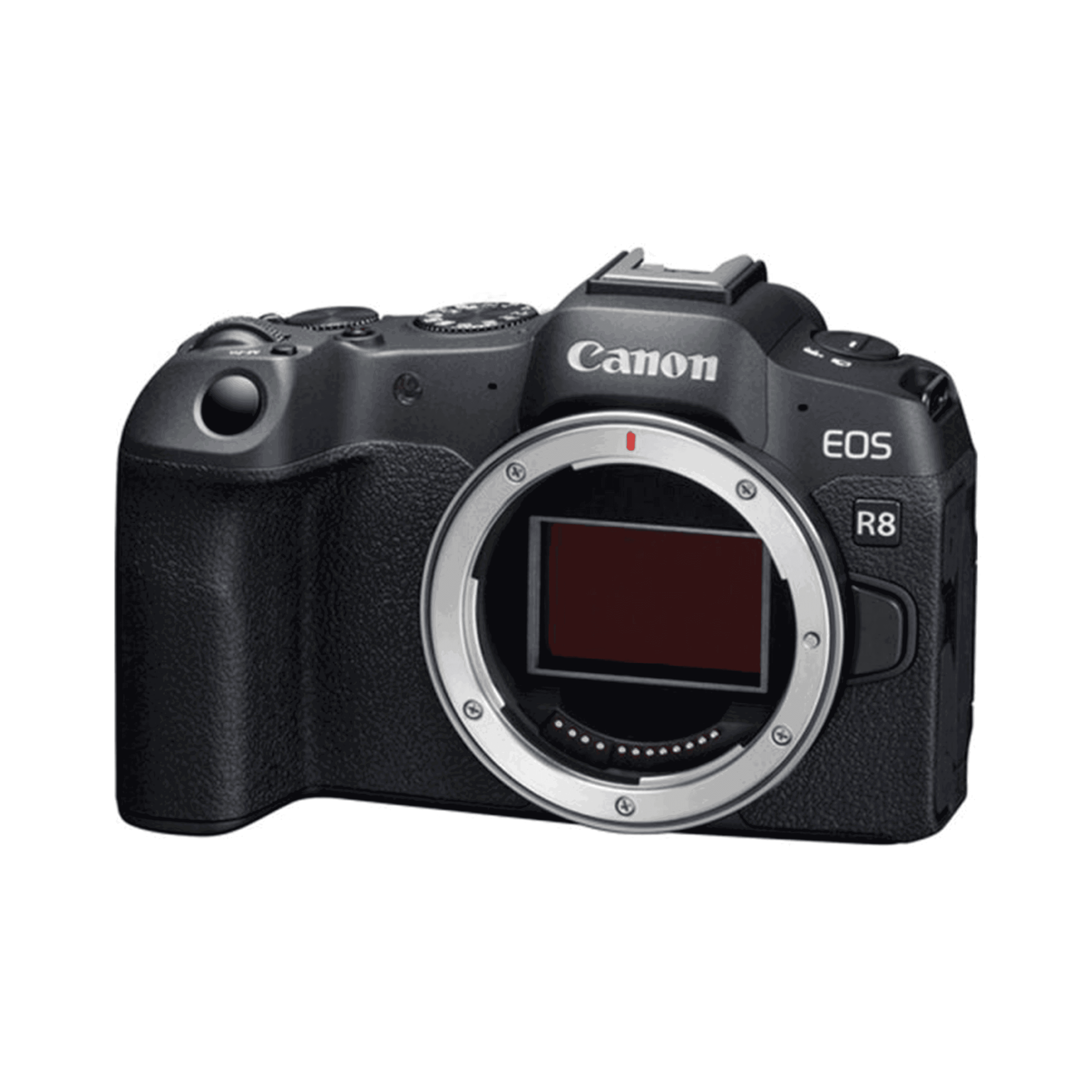 دوربین CANON EOS R8 BODY بدنه