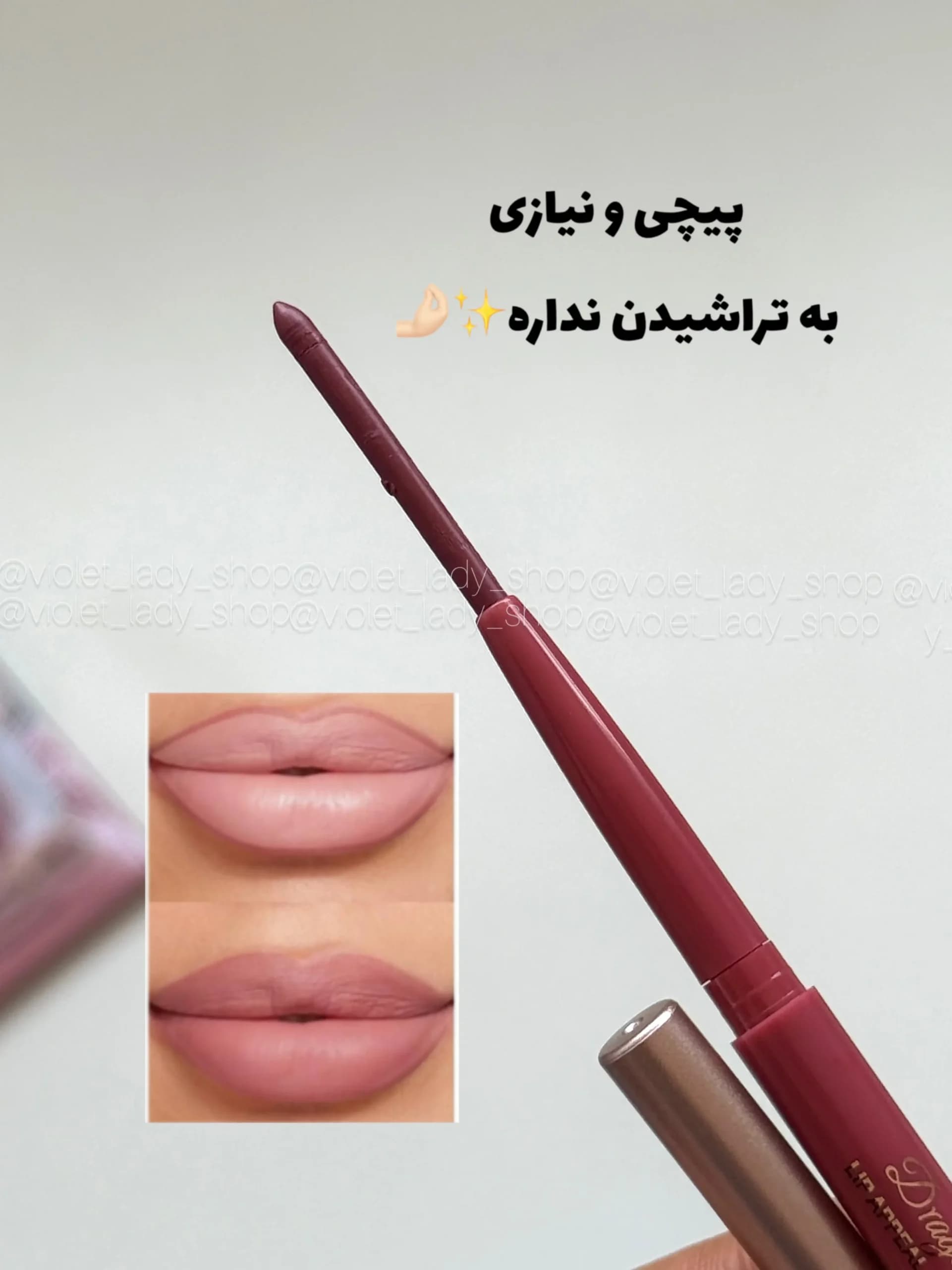 پک خط لب ۱۲عددی پیجی لاکچری DRAGON RANEE — تصویر ۳