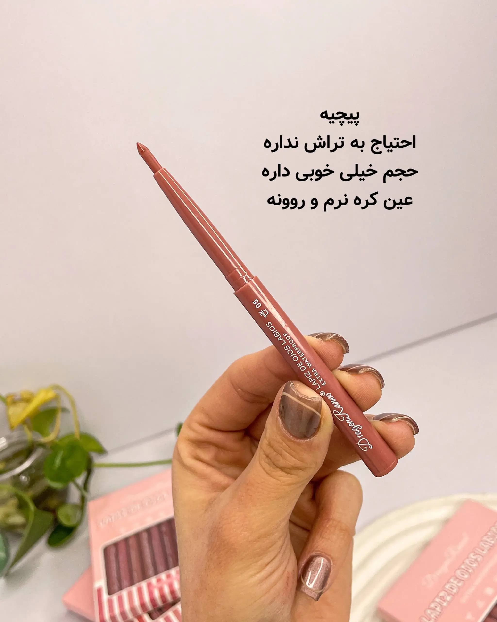 پک‌۱۲عددی مداد لب پیچی DRAGON RANEE — تصویر ۳