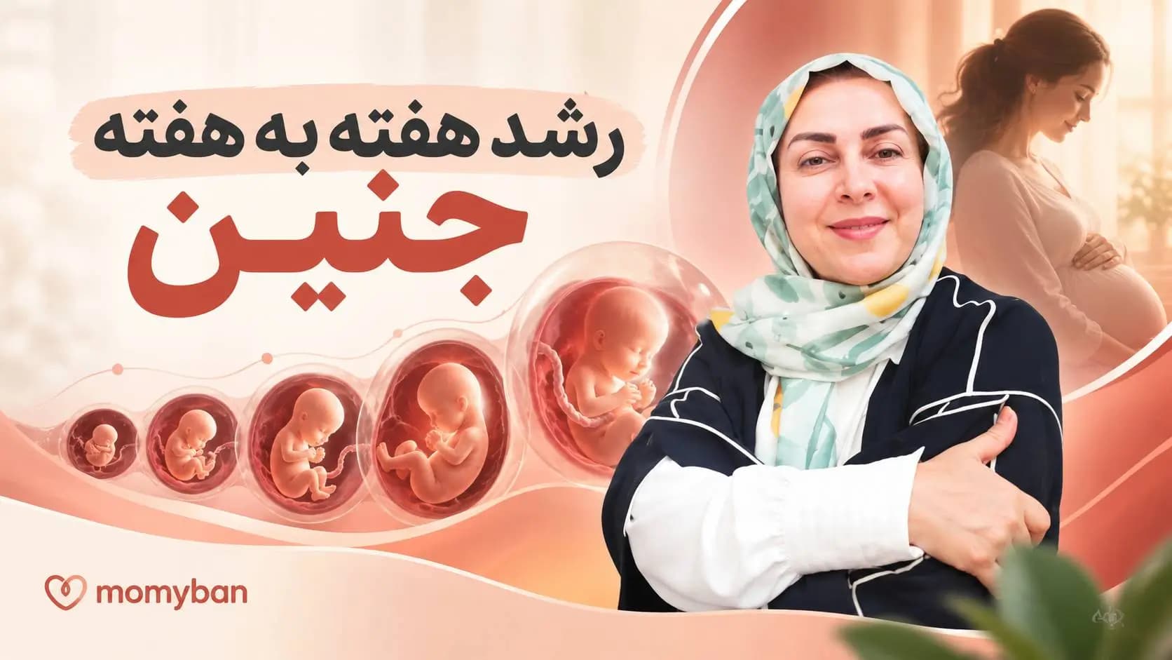 رشد هفته به هفته جنین — تصویر ۲