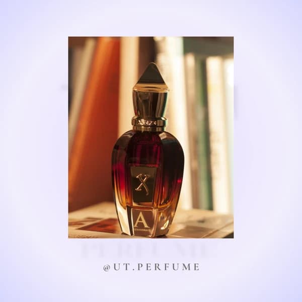 عطر زرجوف الکساندریا 2/XERJOFF – Alexandria II — تصویر ۶