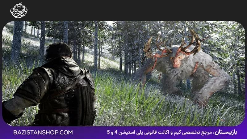 اکانت ظرفیتی و قانونی بازی Crimson Desert — تصویر ۲