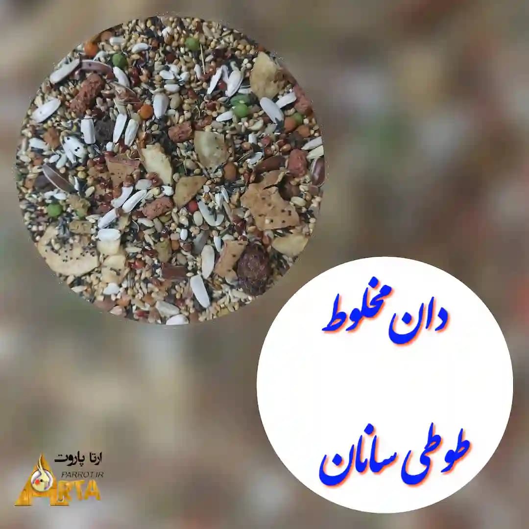 دان مخلوط طوطی سانان