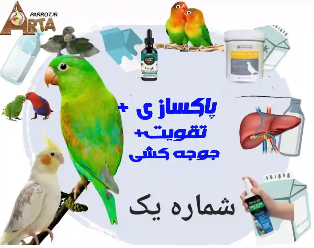 پک پاکسازی و تقویت تا جوجه کشی پرندگان1