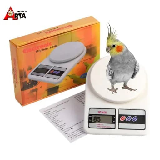ترازوی دیجیتال 10 کیلویی