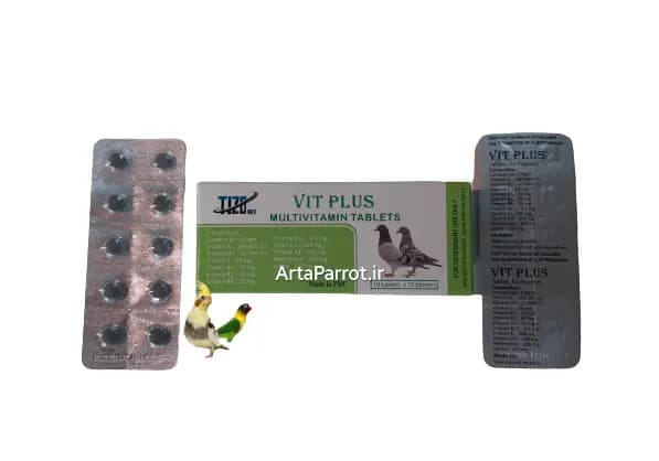 vit plus کبوتری