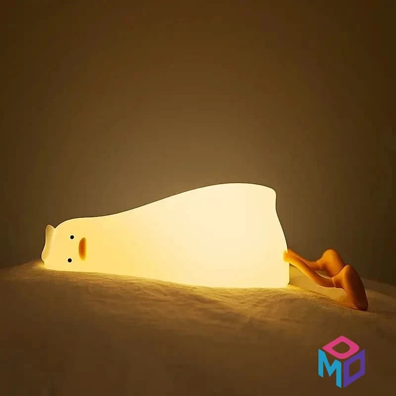 چراغ خواب اردک خسته — چندرنگ