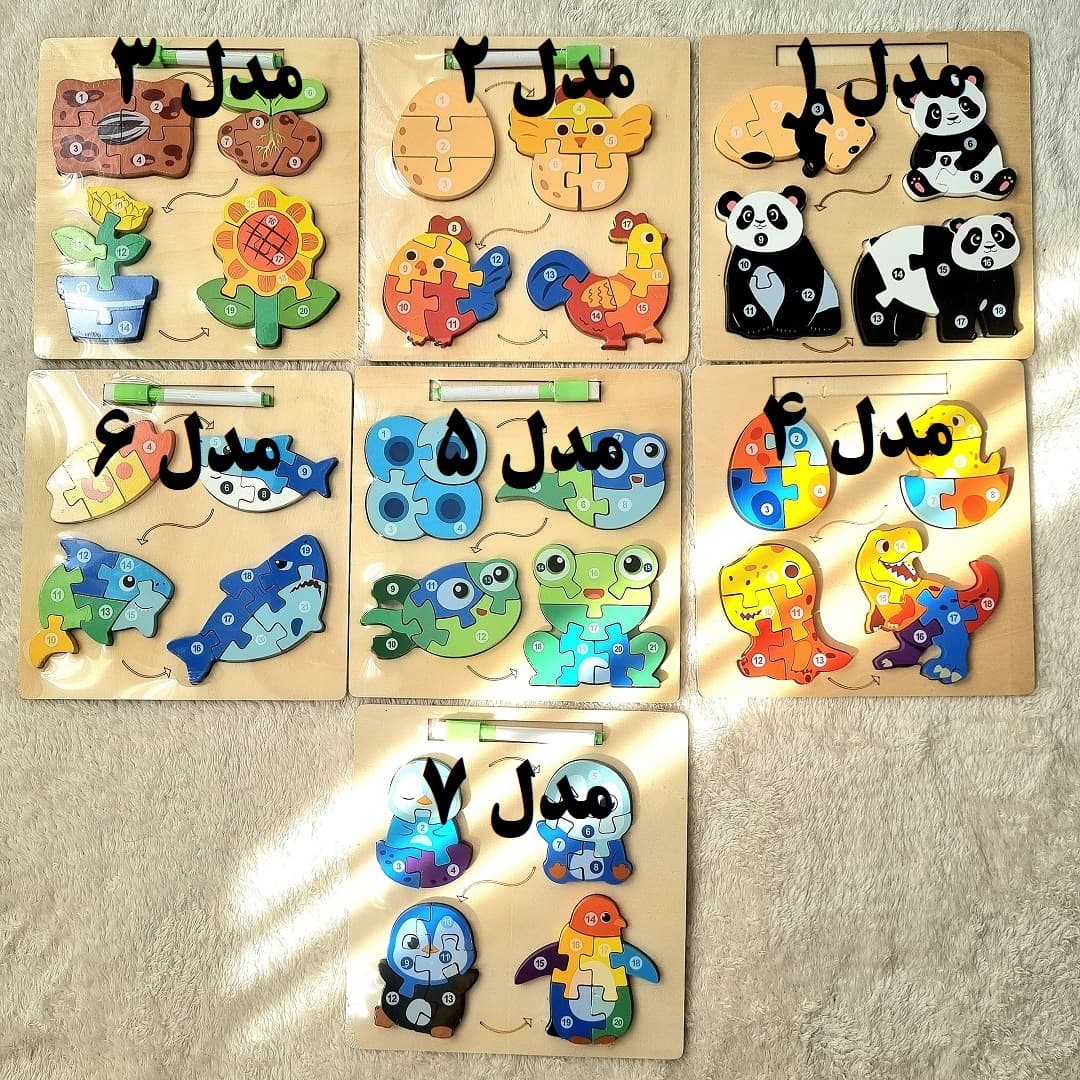 پازل مراحل رشد چوبی — تصویر ۵