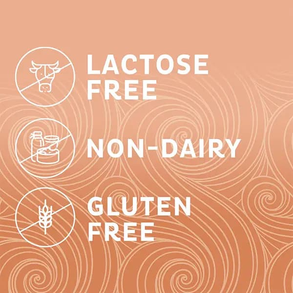 کافی میت کارامل وانیلی نستله بدون شکر Nestle Sugar Free Coffee Mate — تصویر ۴