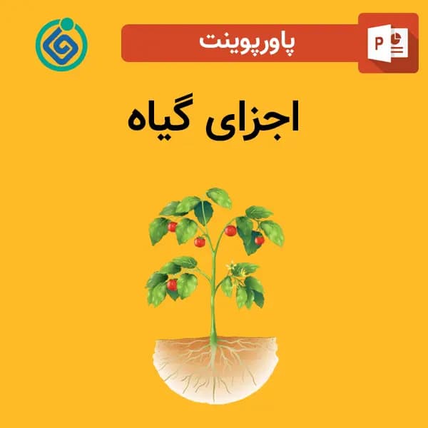 پاورپوینت اجزای گیاه