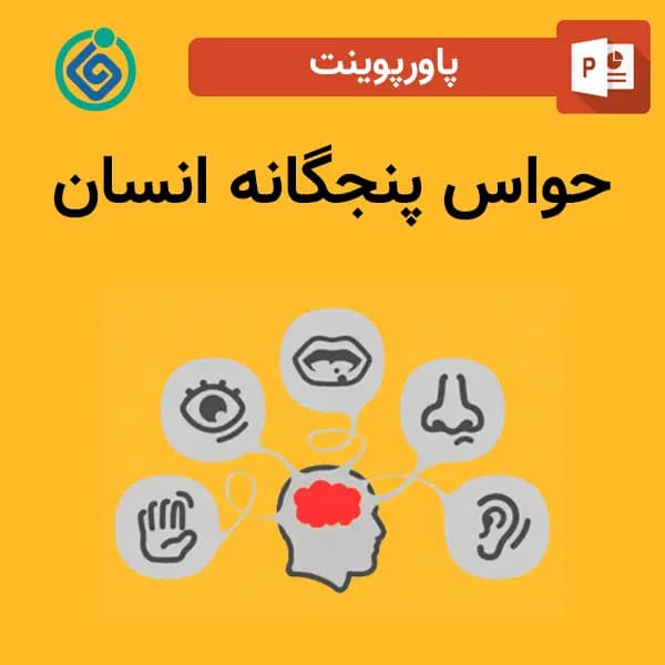 پاورپوینت حواس پنجگانه انسان