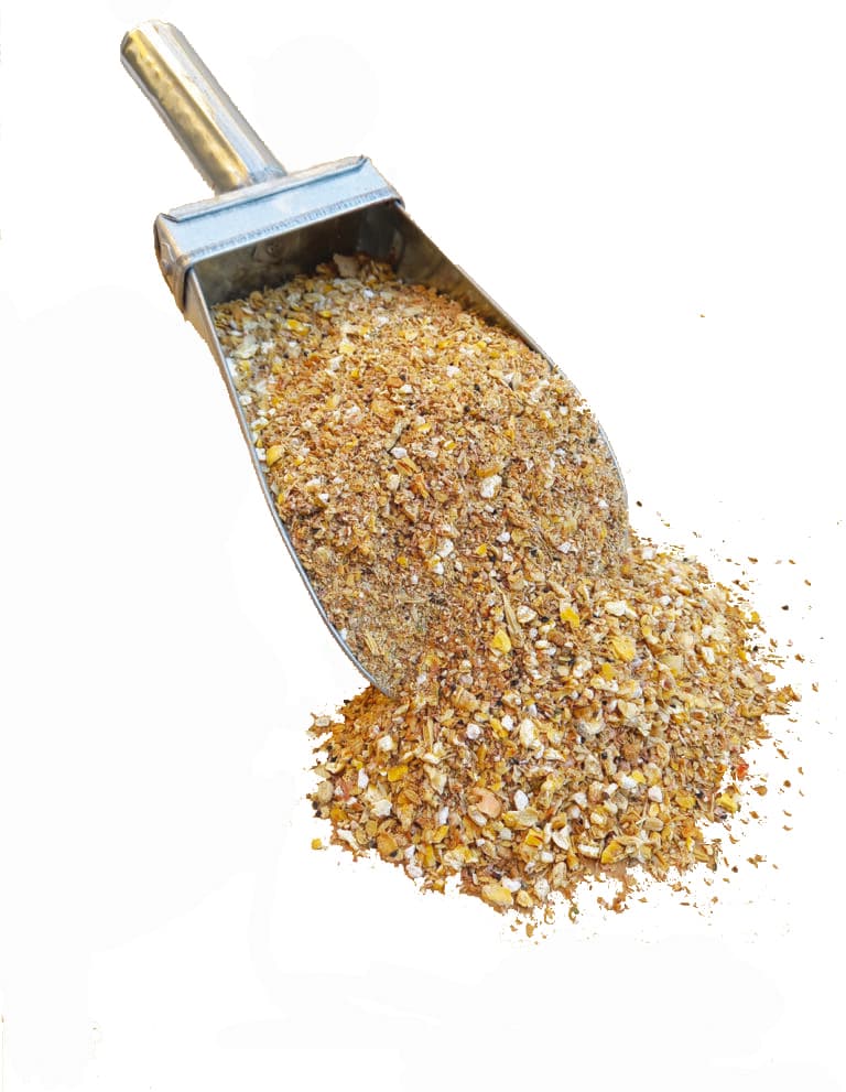 دان مرغ تخمگذار فله(بسته 20 کیلویی)