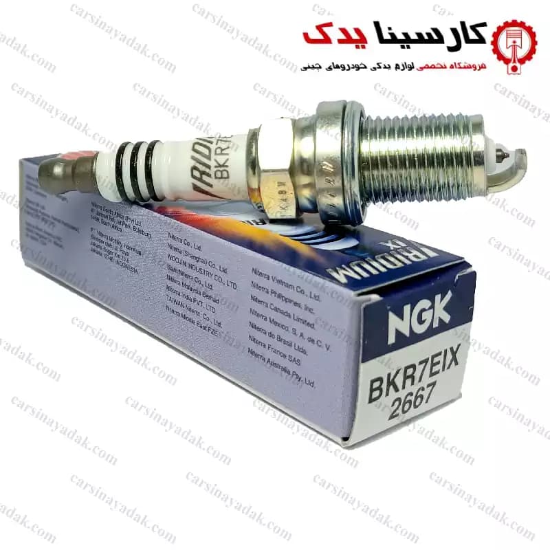شمع بورگوارد BX5 BX7