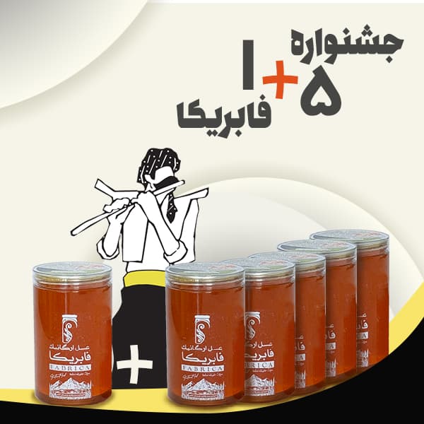 عسل ارگانیک کوهستان یک کیلویی جشنواره 5+1 فابریکا