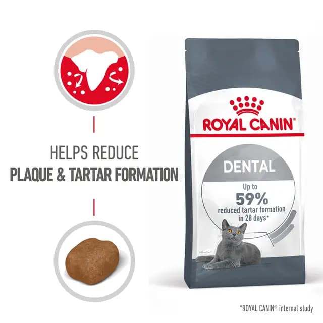 غذای خشک گربه رویال کنین Royal Canin Dental Care | مراقبت دندان | 1/5 کیلو — تصویر ۴