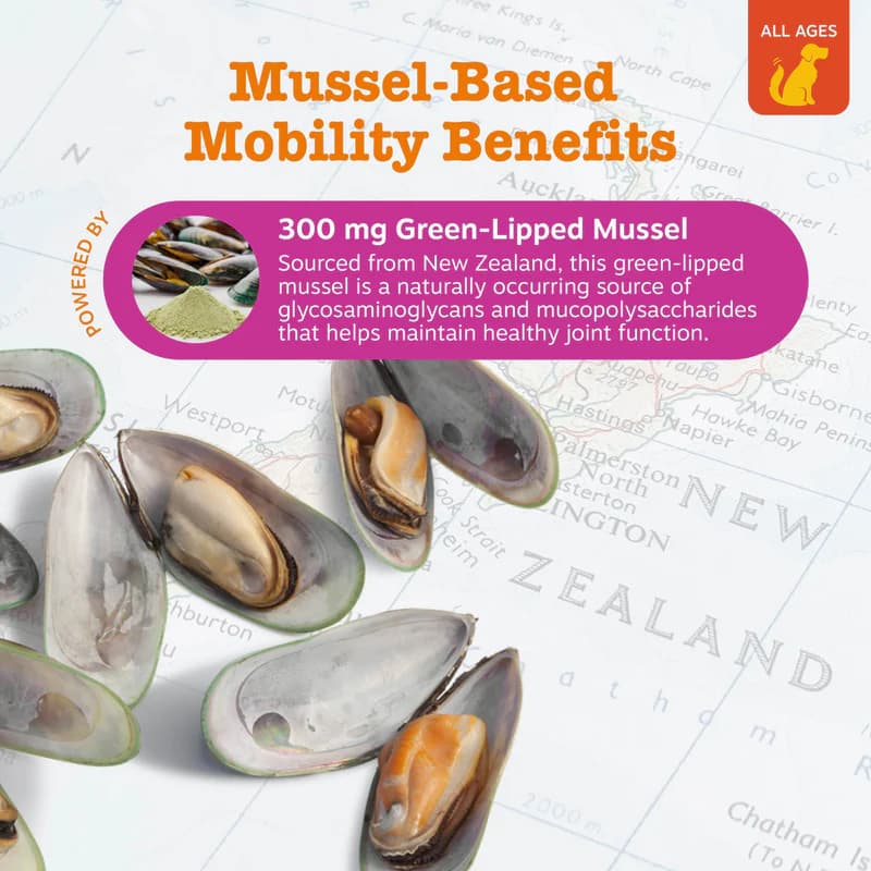 مکمل تخصصی مفاصل و عضروف سگ Zesty Paws Mussel Hip & Joint |صدف لب‌ سبز نیوزیلندی (90 عدد) — تصویر ۳