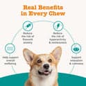 آرامش بخش سگ Zesty Paws Calming | بابونه، ریشه سنبل الطیب و ال-تریپتوفان – 60 عدد — تصویر ۴