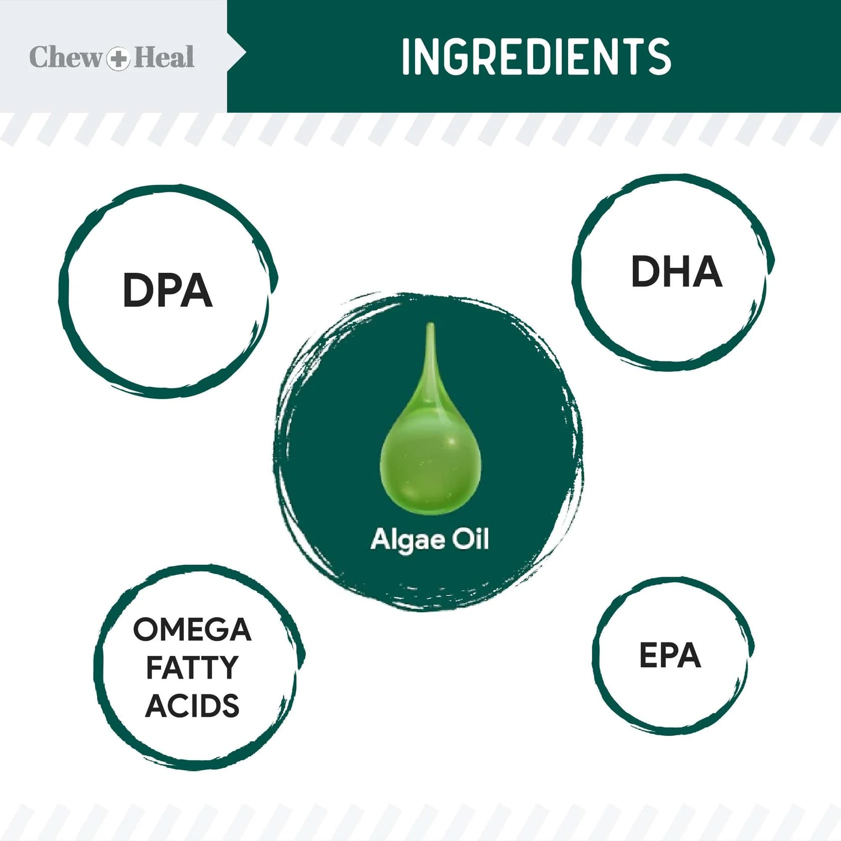 روغن امگا3 سگ وگان برند Chew + Heal (آمریکایی) | تقویت کننده پوست و مو | 237 میلی‌لیتر — تصویر ۳