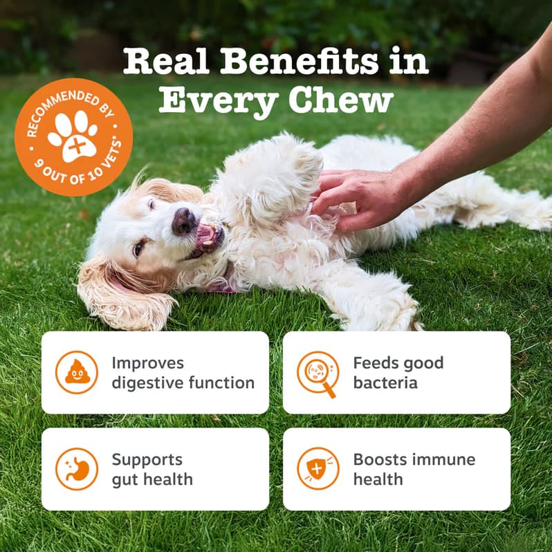 پروبیوتیک سگ زستی پاز Zesty Paws Probiotic Chews | سلامت روده و گوارش – 60 عدد — تصویر ۵