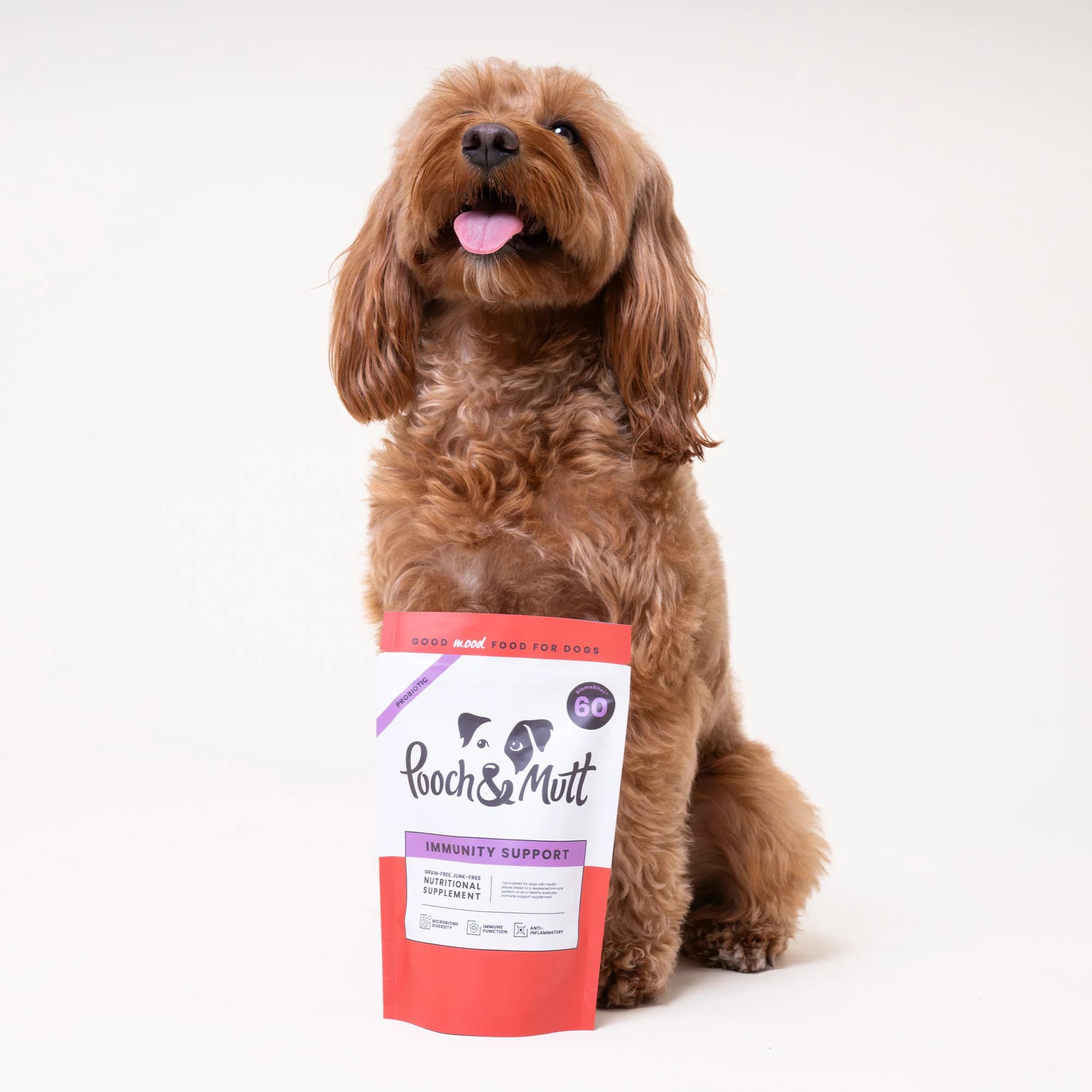 مکمل طبیعی تقویت سیستم ایمنی – گوارش سگ Pooch&Mutt | (60عدد) | Immunity Support — تصویر ۵
