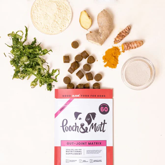 مکمل طبیعی تقویت مفاصل و گوارش سگ انگلیسی Pooch&Mutt (2 کاربرد) | Gut-Joint Matrix — تصویر ۲