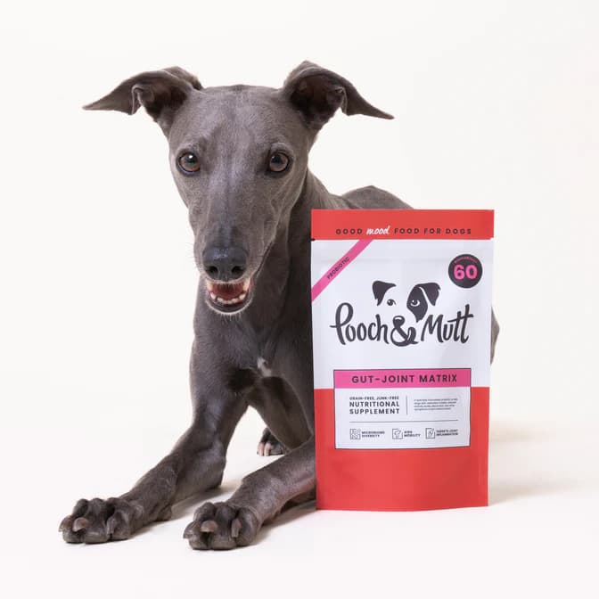 مکمل طبیعی تقویت مفاصل و گوارش سگ انگلیسی Pooch&Mutt (2 کاربرد) | Gut-Joint Matrix — تصویر ۶