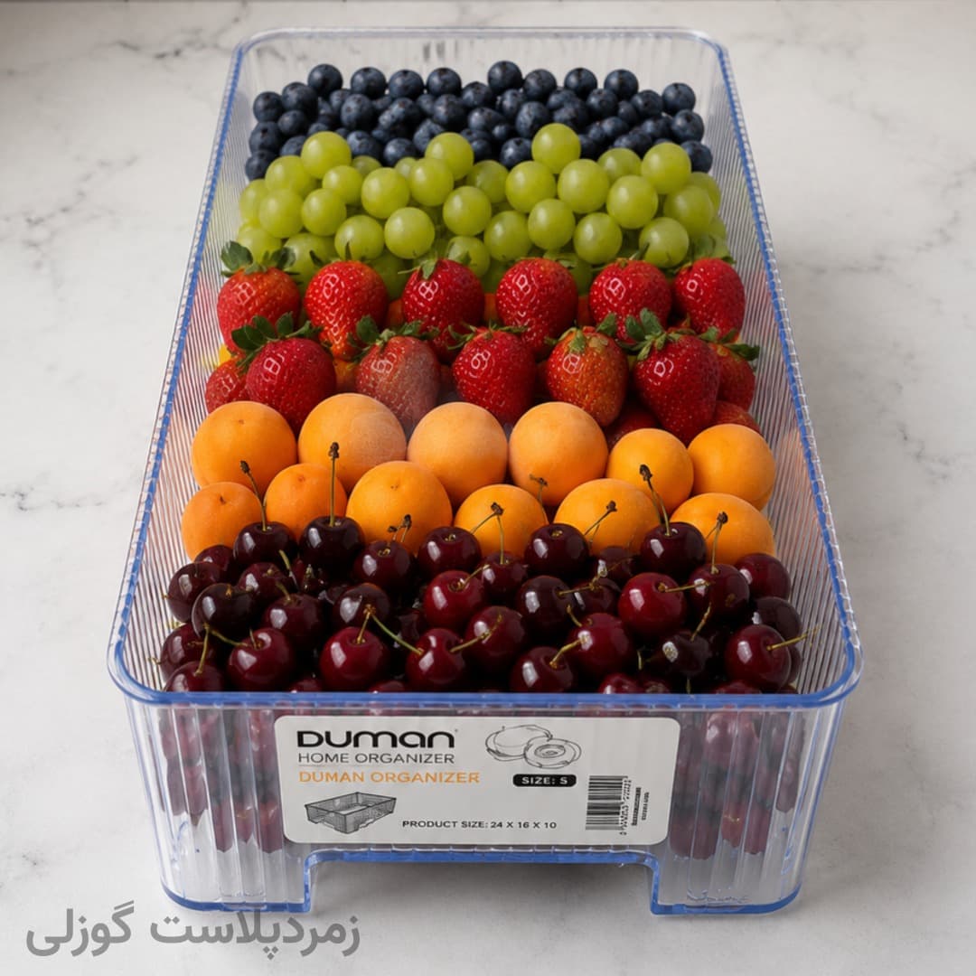 نظم دهنده یخچال دومان