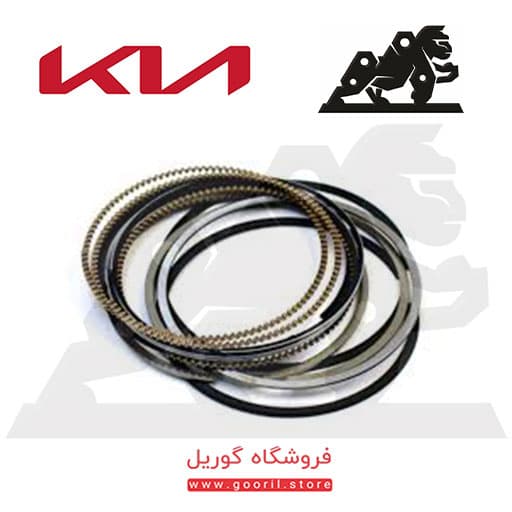 رینگ موتور کیا اپتیما 230402C250