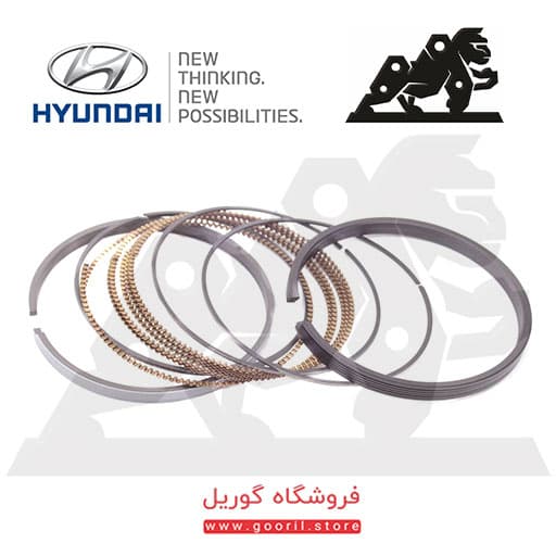 رینگ موتور هیوندای وراکروز (IX55) 230403C200