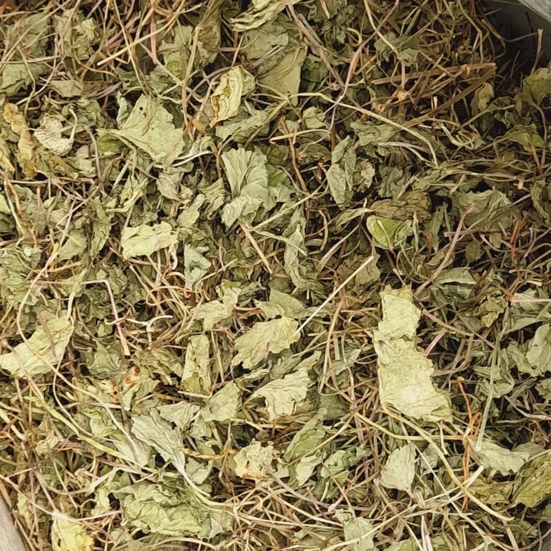 برگ آب بشقابی 100 گرمی — تصویر ۴