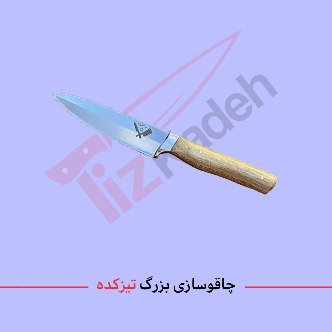 چاقوی خاص تیزکده دم دستی