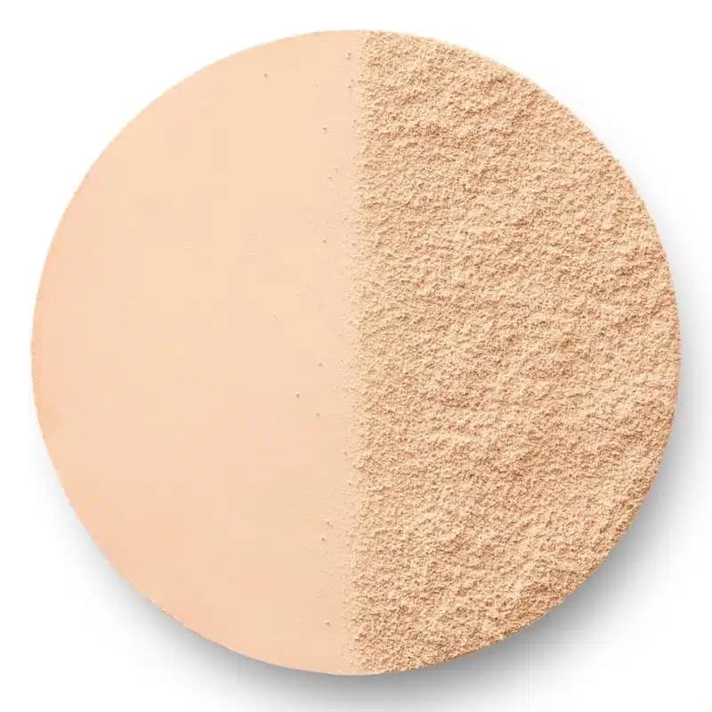 پنکیک SPF20 بورژوآ Bourjois مدل Always Fabulous Powder کد 115 رنگ Golden Ivory — تصویر ۲