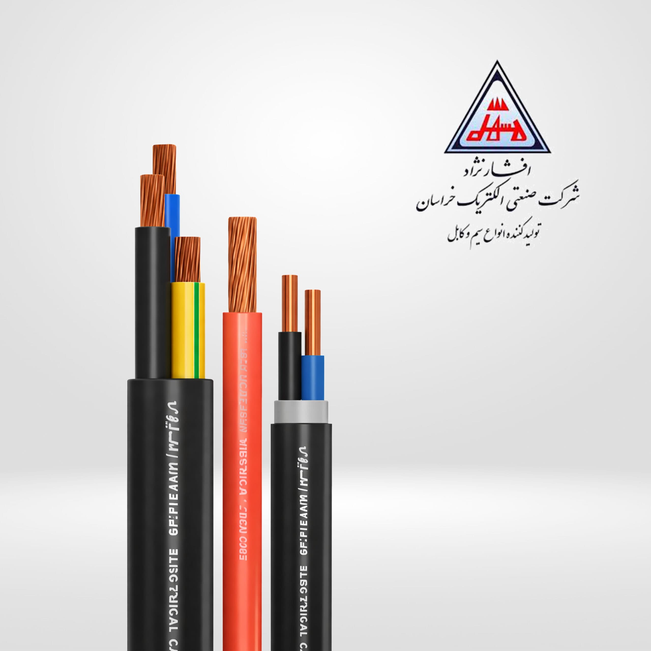 کابل زمینی 10*3 خراسان افشارنژاد