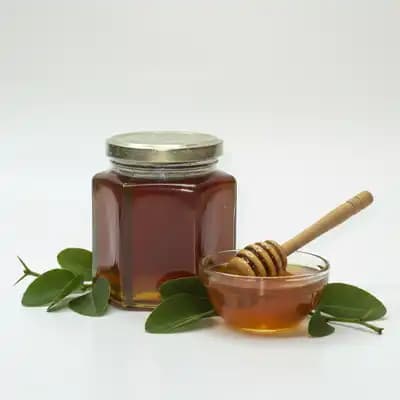 عسل کنار طبیعی ممتاز سدر پارسیکا ۴۰۰ گرمی — تصویر ۲