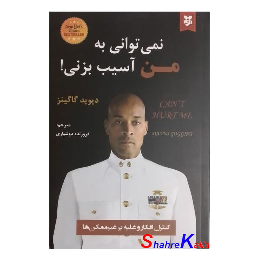 کتاب نمی توانی به من آسیب بزنی اثر دیوید گاگینز انتشارات نیک فرجام — تصویر ۲
