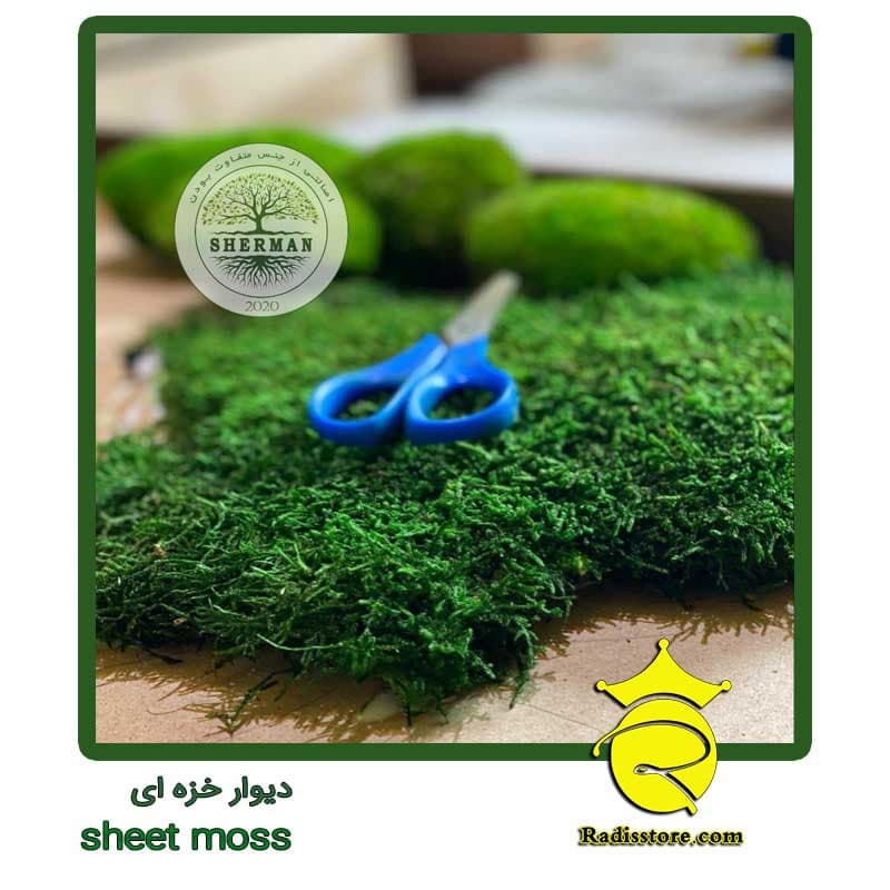 خزه طبیعی تثبیت شده – sheet moss