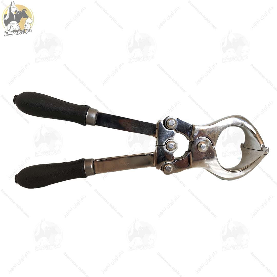 پنس اخته گاوی