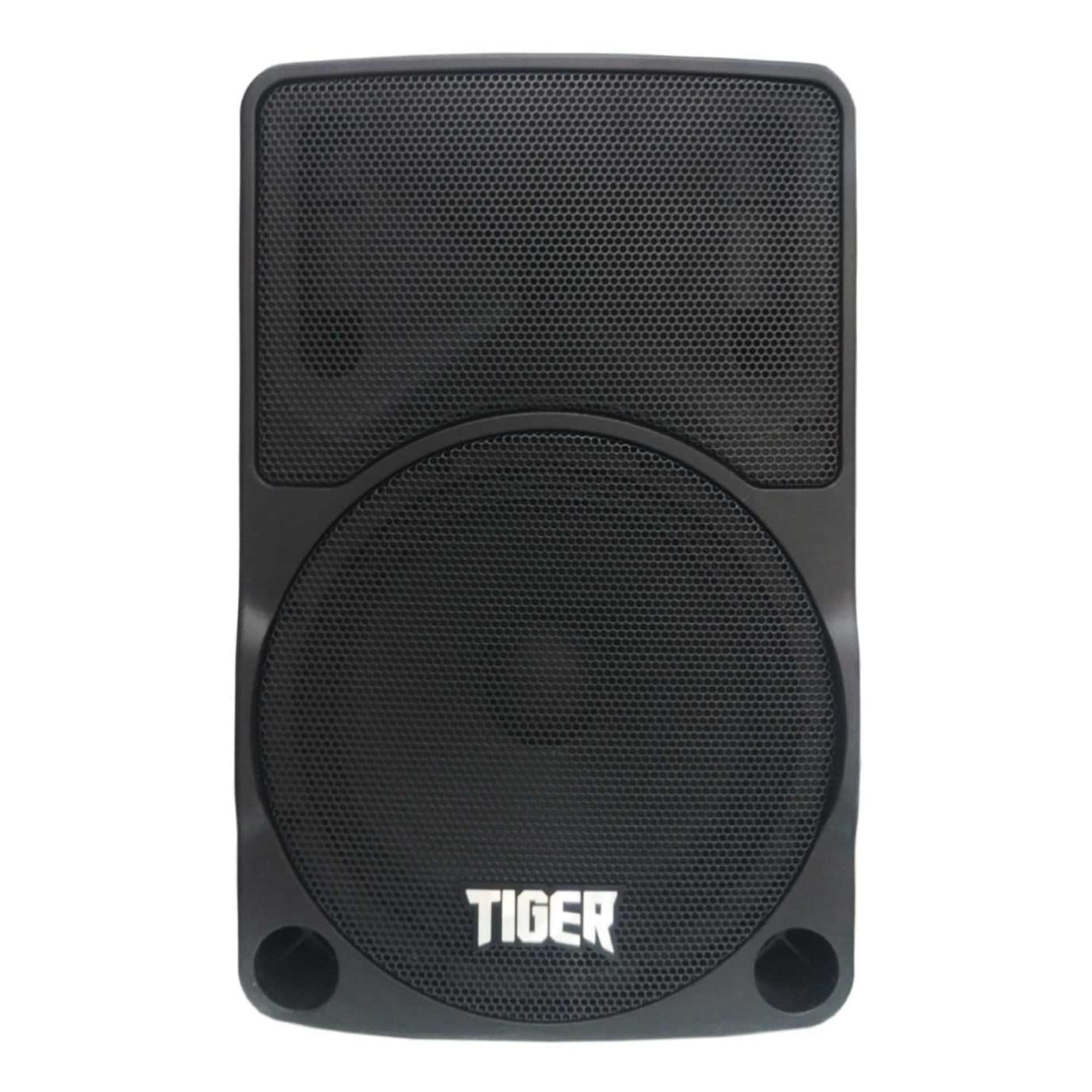باند اکتیو شارژ 10 اینچ تایگر TIGER EV10 — تصویر ۴