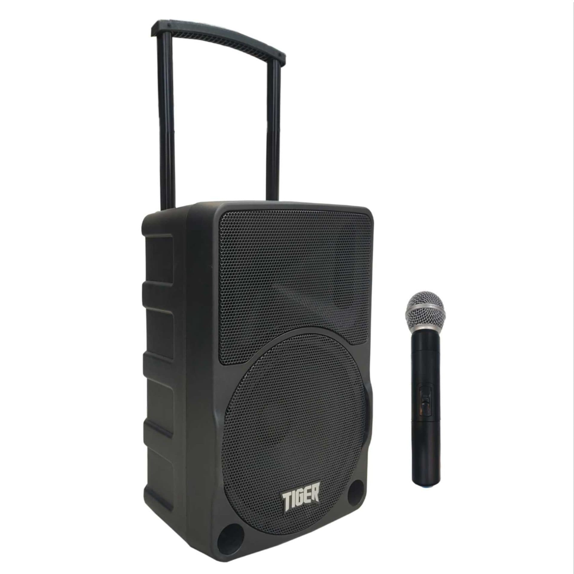 باند اکتیو شارژ 10 اینچ تایگر TIGER EV10 — تصویر ۳