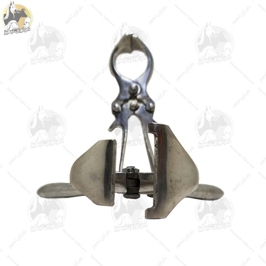 پنس اخته (بوردیزو) گوسفندی — تصویر ۲