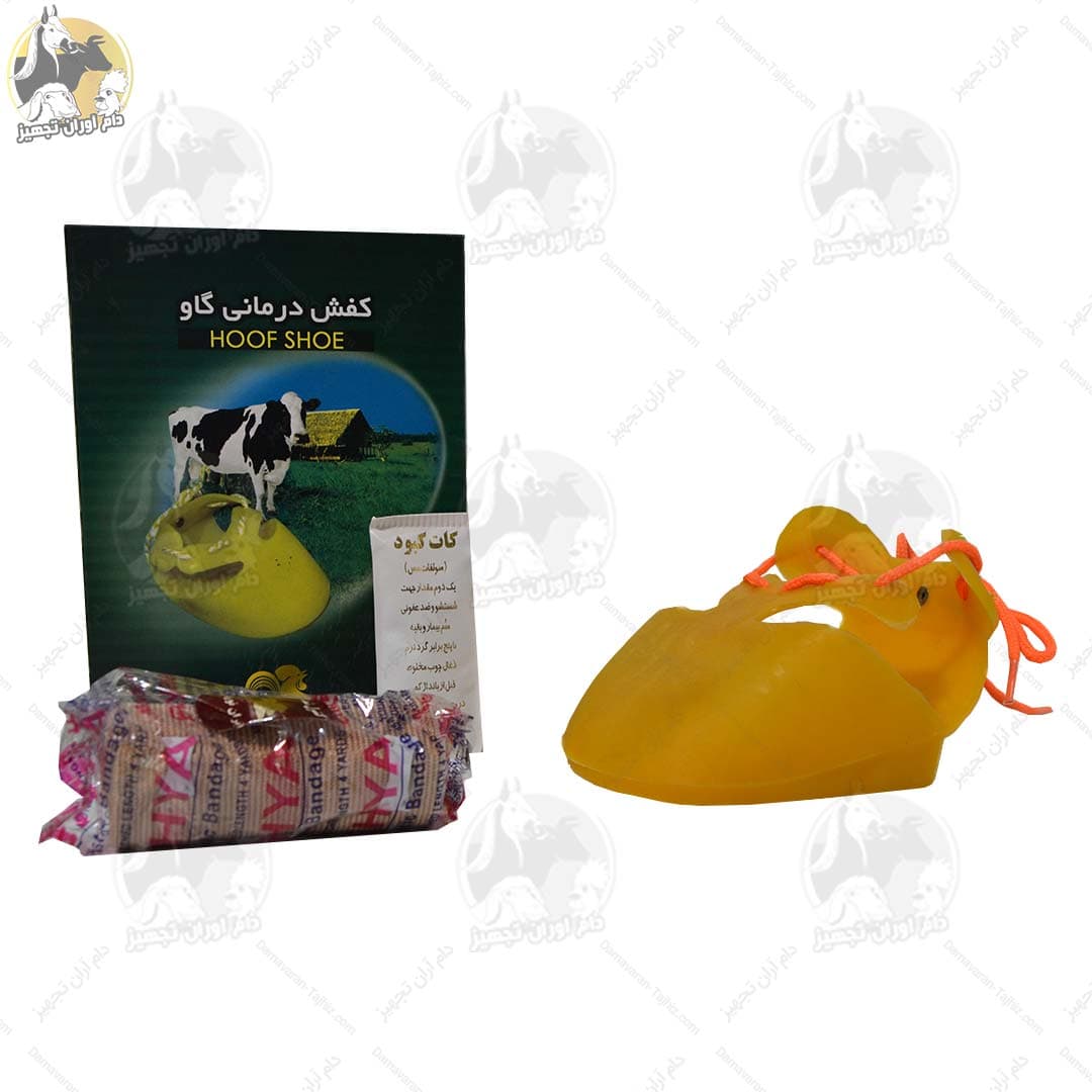 کفش درمانی گاو — تصویر ۶