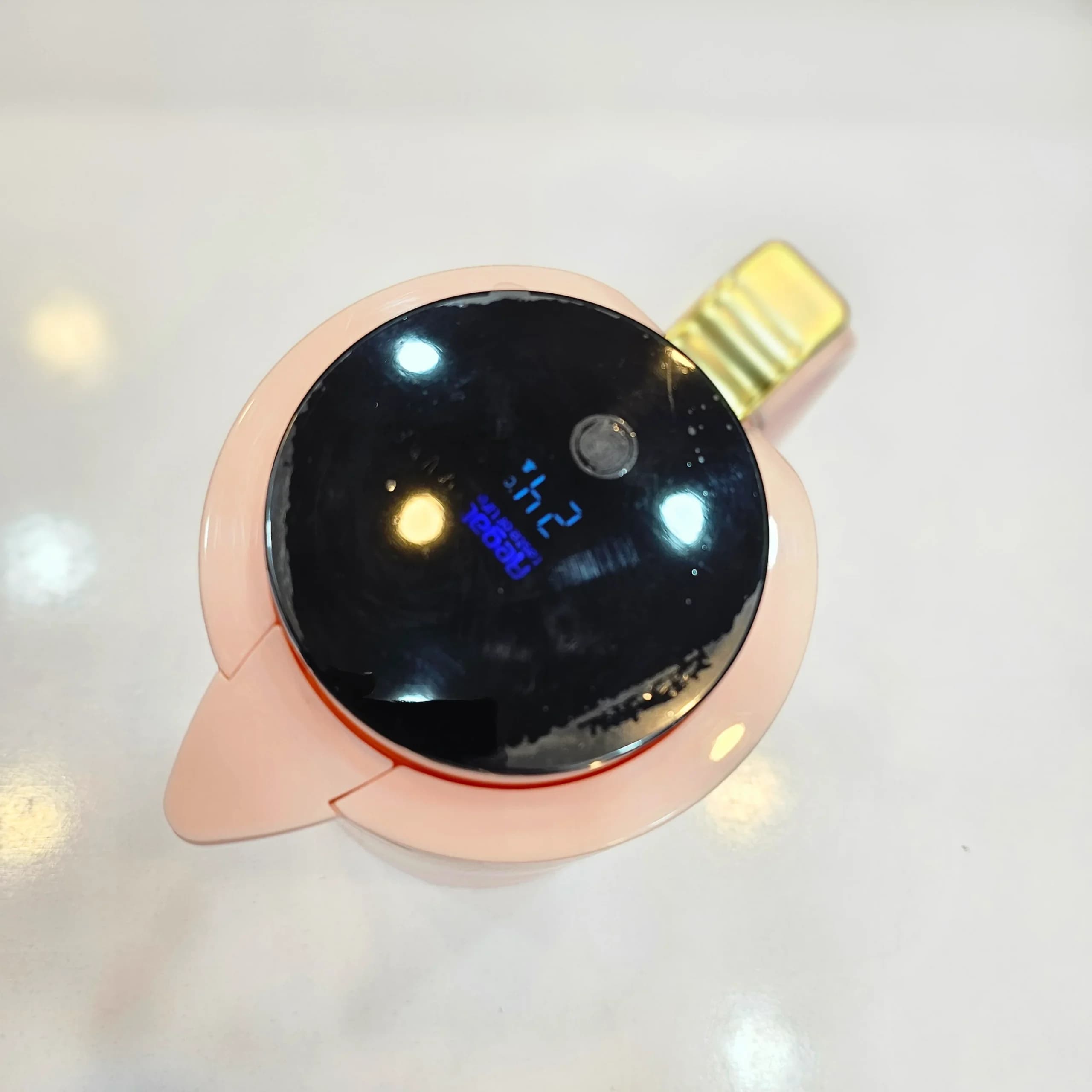 فلاسک درجه دار 1.3 لیتری رگال — تصویر ۲