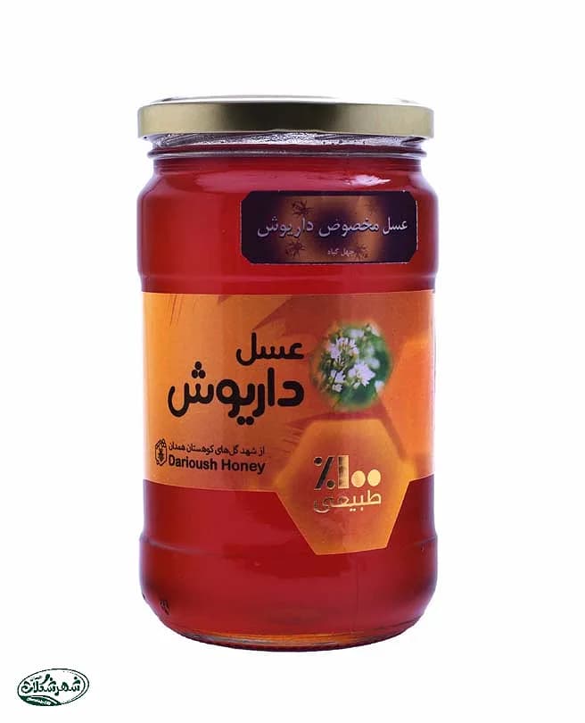 عسل شیشه 600 گرمی داریوش